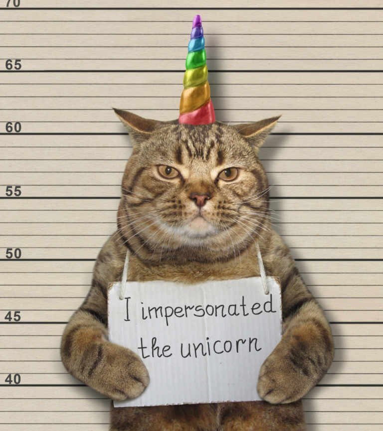 Finding the Elusive Unicorn Candidate